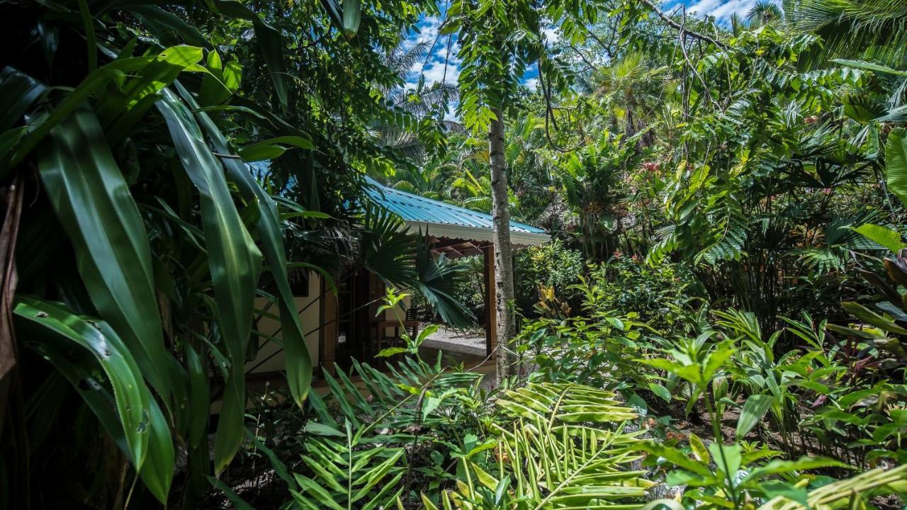 Hotel El Pequeno Gecko Verde Samara Luaran gambar
