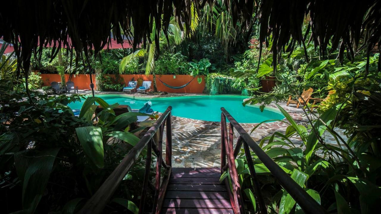 Hotel El Pequeno Gecko Verde Samara Luaran gambar